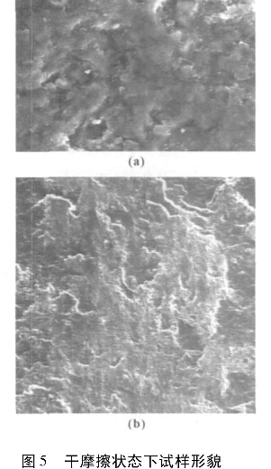 圖5  干摩擦狀態(tài)下試樣形貌