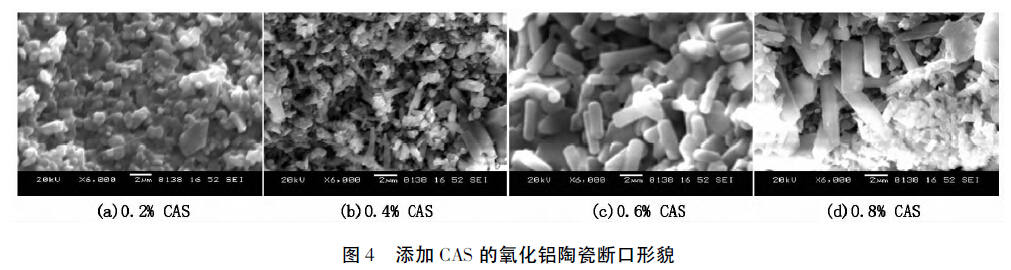 圖4 添加CAS 的氧化鋁陶瓷斷口形貌