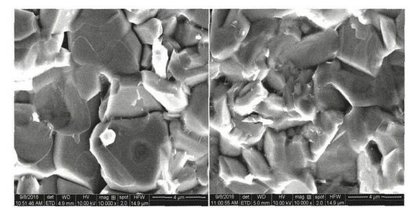 圖1 微晶氧化鋁陶瓷研磨體SEM照片